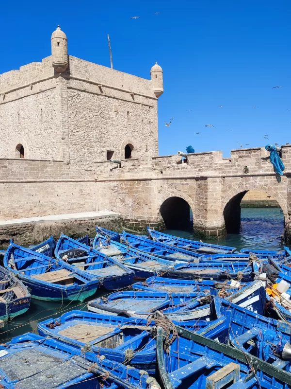 Essaouira day trip from Marrakech