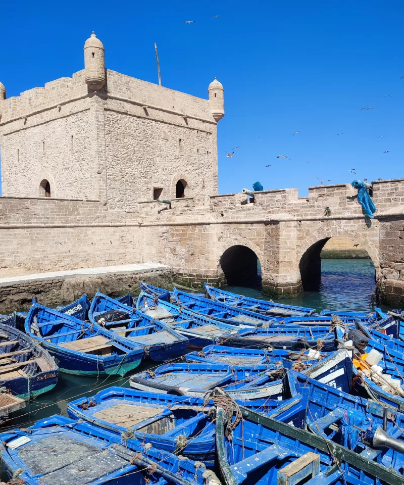 Essaouira day trip from Marrakech