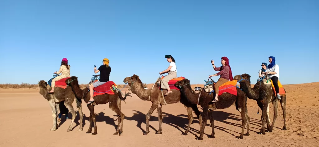 Best 10 Unmissable Summer Experiences in Morocco: Your Ultimate 2025 Bucket List
