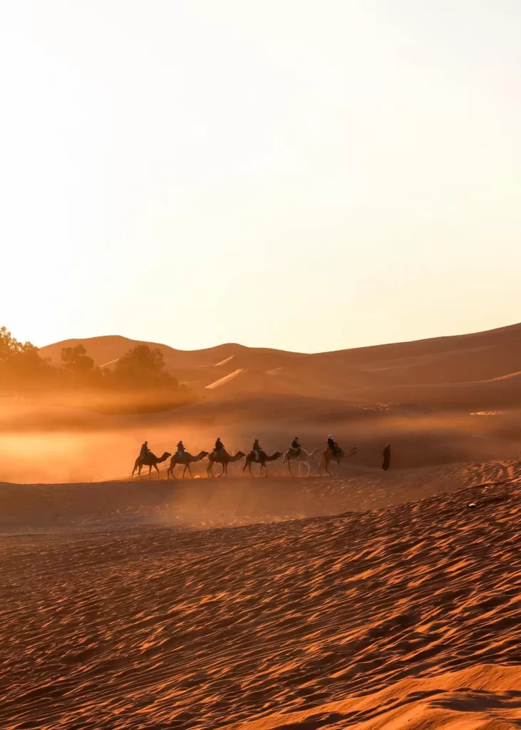 Why 2025 is the Perfect Year for Your Summer Morocco Adventure?