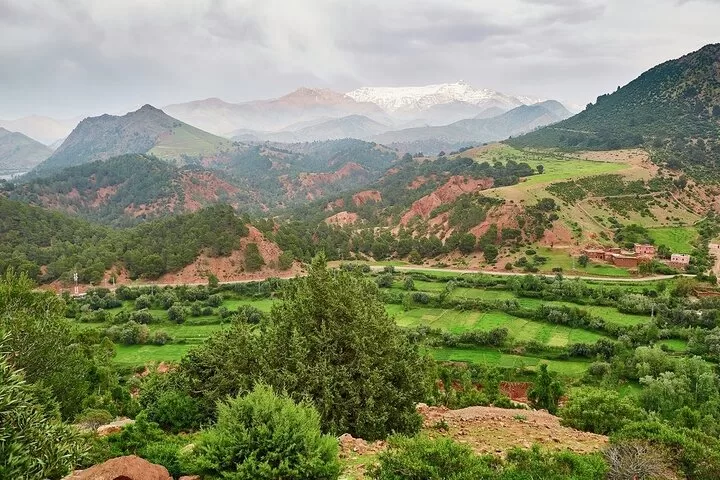 Zat Valley: Discover Authentic Eco-Tourism in the Heart of the Moroccan Atlas