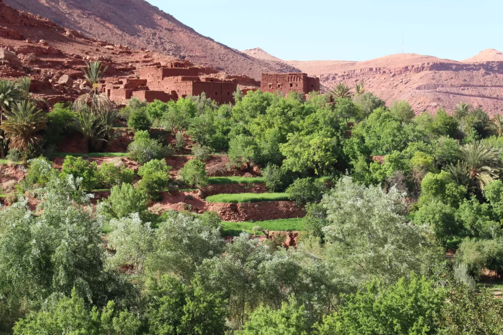 Zat Valley: Discover Authentic Eco-Tourism in the Heart of the Moroccan Atlas