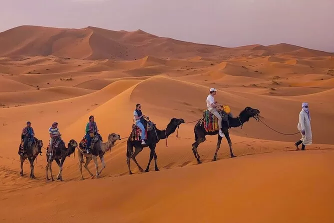 Ultimate Morocco Desert Tours 2025: Experience the Magic of Sahara Glamping & Camel Trekking
